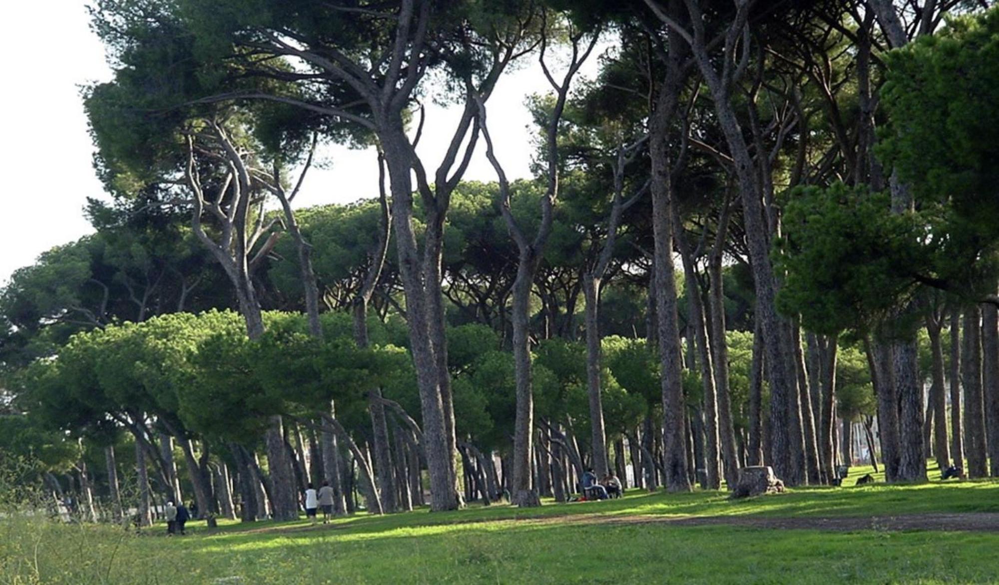 Piuma Celeste A Due Passi Dal Mare E Dal Centro Storico Lido di Ostia Bagian luar foto