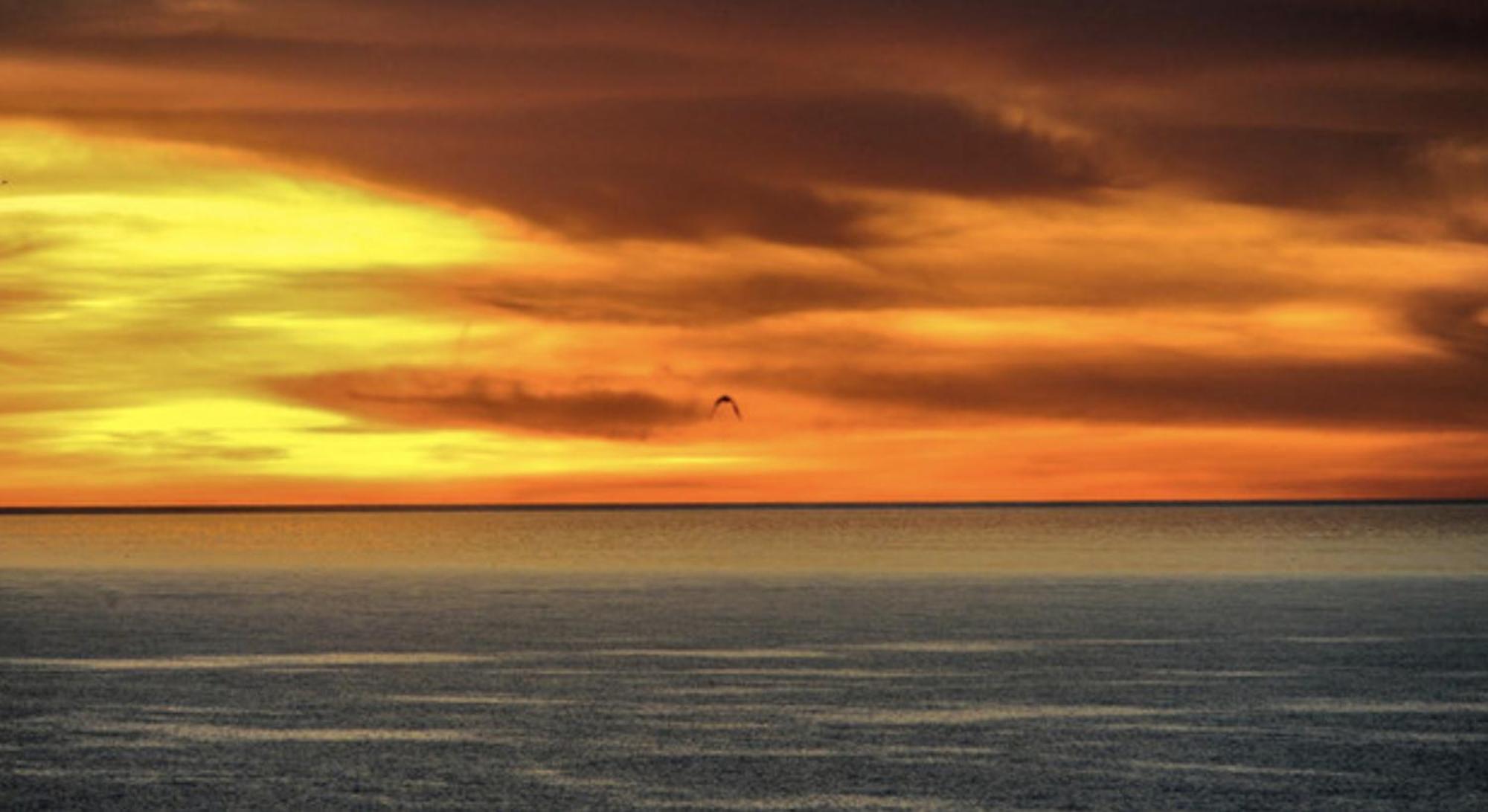 Piuma Celeste A Due Passi Dal Mare E Dal Centro Storico Lido di Ostia Bagian luar foto